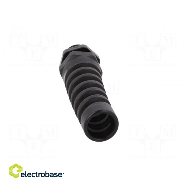 Cable gland | with strain relief,with long thread | M25 | 1,5 | IP68 image 5