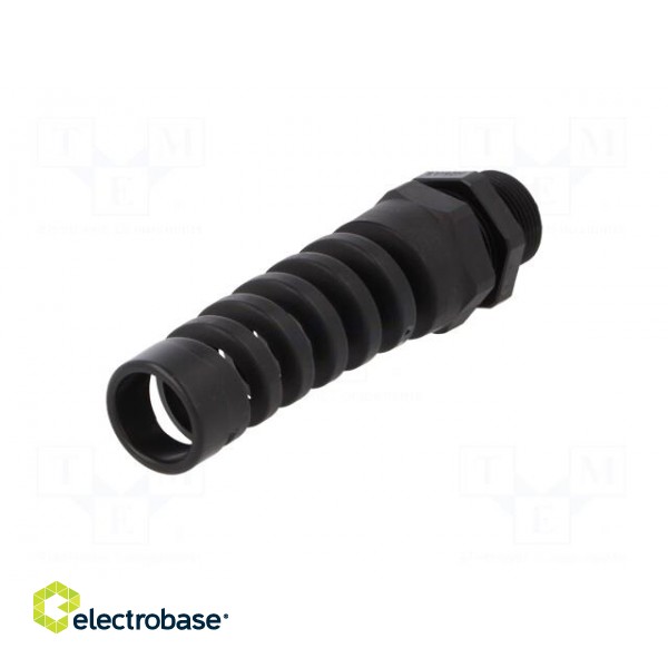 Cable gland | with strain relief,with long thread | M25 | 1,5 | IP68 image 6