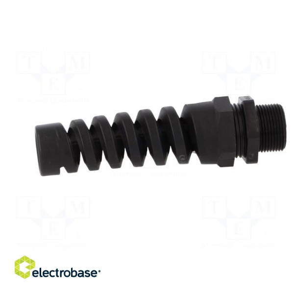 Cable gland | with strain relief,with long thread | M25 | 1,5 | IP68 image 7