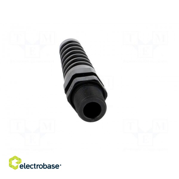 Cable gland | with strain relief,with long thread | PG9 | IP68 image 9