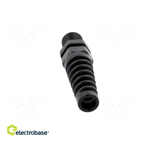 Cable gland | with strain relief,with long thread | PG9 | IP68 image 5