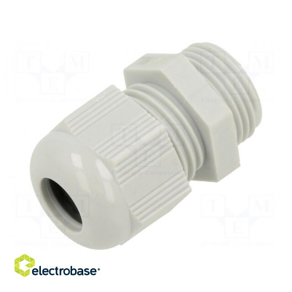 Cable gland | without nut | PG11 | IP68 | polyamide | light grey