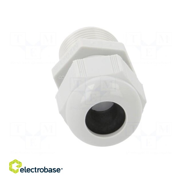 Cable gland | without nut,with long thread | M20 | 1.5 | IP68 image 9