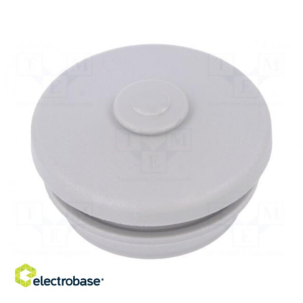 Grommet | elastomer thermoplastic TPE | grey | Holes no: 1 | -35÷60°C image 1