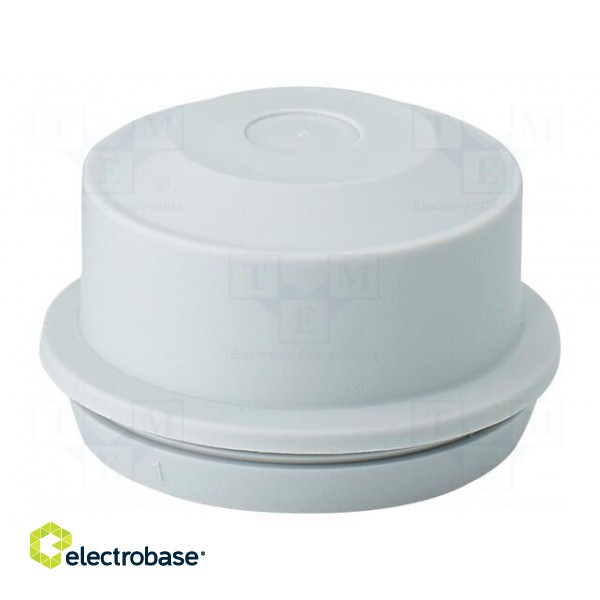 Grommet | elastomer thermoplastic TPE | light grey | 11÷30mm | IP65