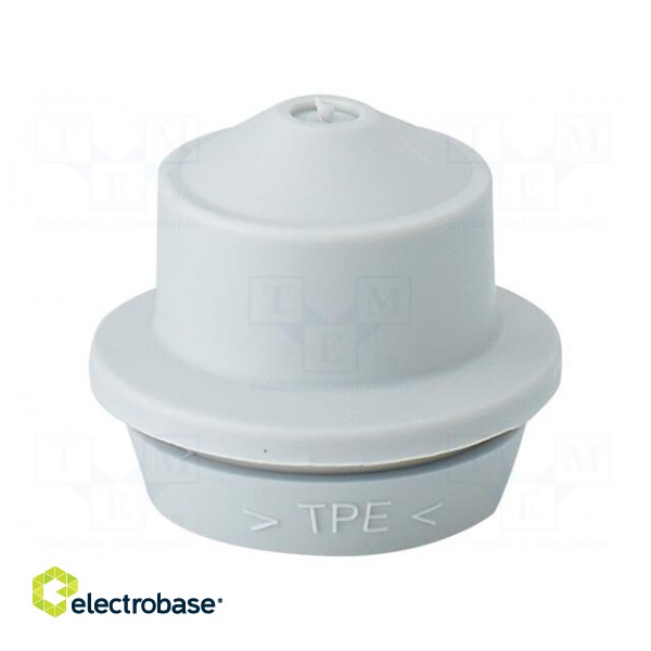 Grommet | elastomer thermoplastic TPE | light grey | 6÷13mm | IP65