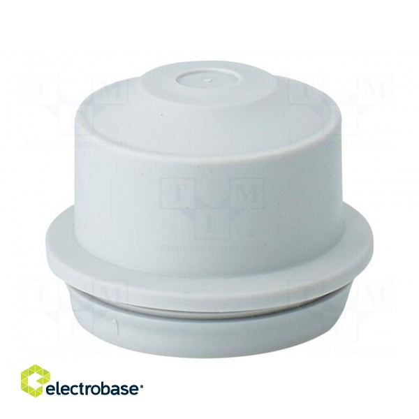 Grommet | elastomer thermoplastic TPE | light grey | 8÷23mm | IP65