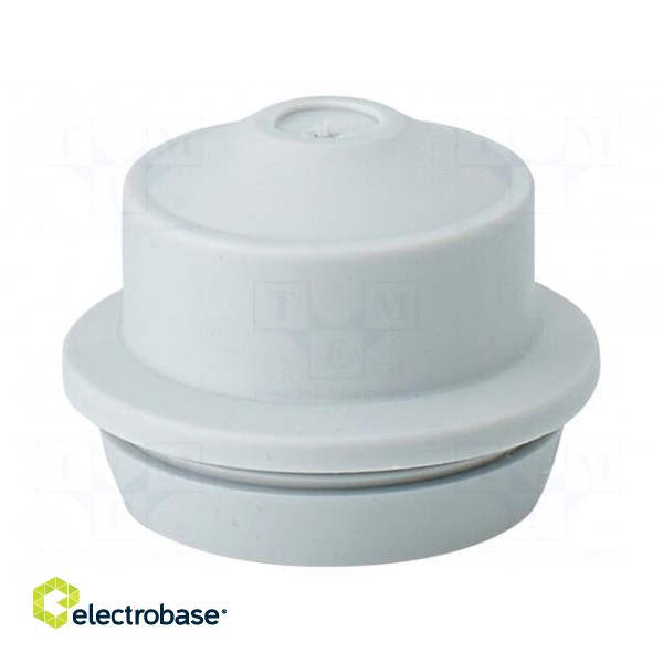 Grommet | elastomer thermoplastic TPE | light grey | 9÷17mm | IP65