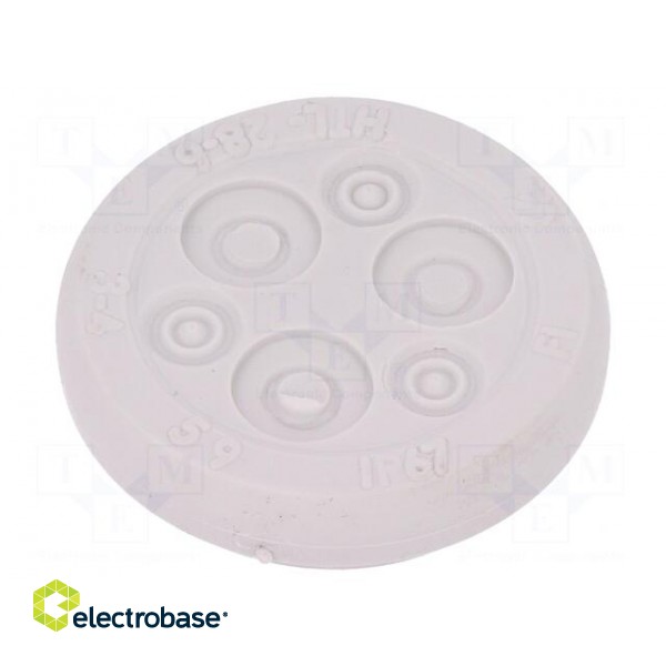 Multigate grommet | Ømount.hole: 28mm | Panel thick: 1.5÷5mm | IP67 image 1