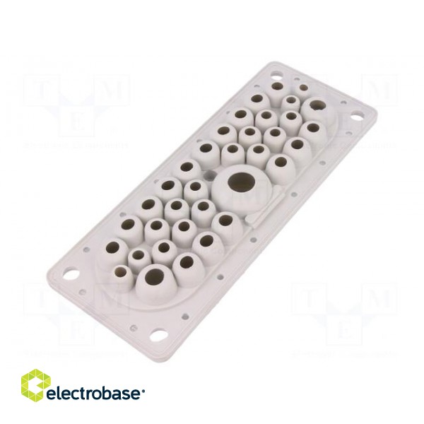 Multigate grommet | elastomer thermoplastic TPE | light grey image 2