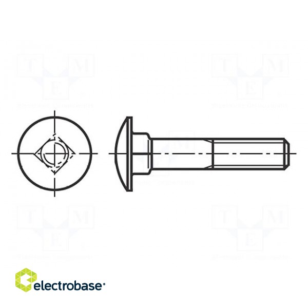 Screw | M8x120 | 1.25 | Head: button | A2 stainless steel | DIN 603