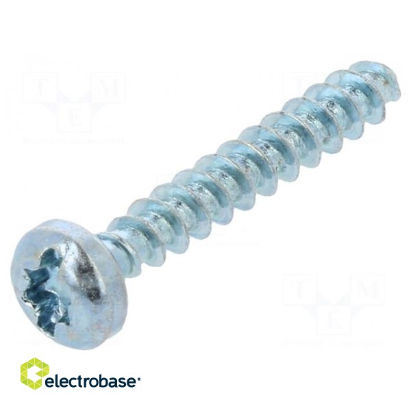 Screw | for plastic | 2.5x16 | Head: cheese head | slotted,Torx® | zinc