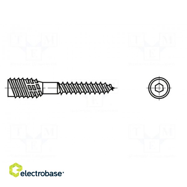 Screw | for wood | 6x250 | Head: without head | hex key | HEX 4mm | steel image 2