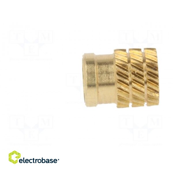 Threaded insert | brass | without coating | M5 | BN: 1054 | L: 8.3mm image 4