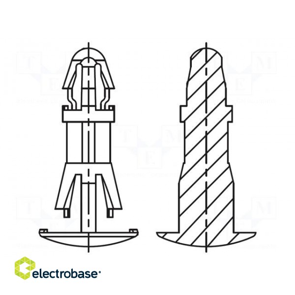 Assembly stud | polyamide 66 | L: 12mm | latch/latch | natural