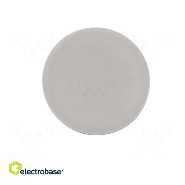 Knob | Ø: 45mm | Ext.thread: M8 | 20mm | technopolymer (PA) | Cap: grey image 9