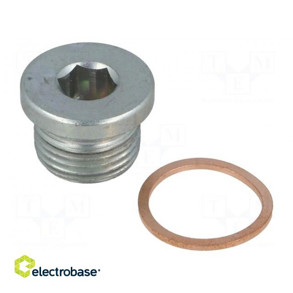 Hexagon head screw plug | Thread: G 1/2" | DIN: 908 | Gasket: copper