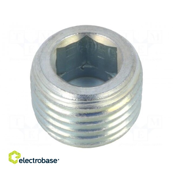 Hexagon head screw plug | without micro encapsulation | DIN: 906 paveikslėlis 2