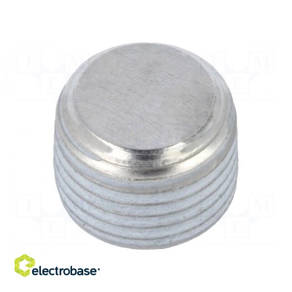 Hexagon head screw plug | with micro encapsulation | DIN: 906 фото 1