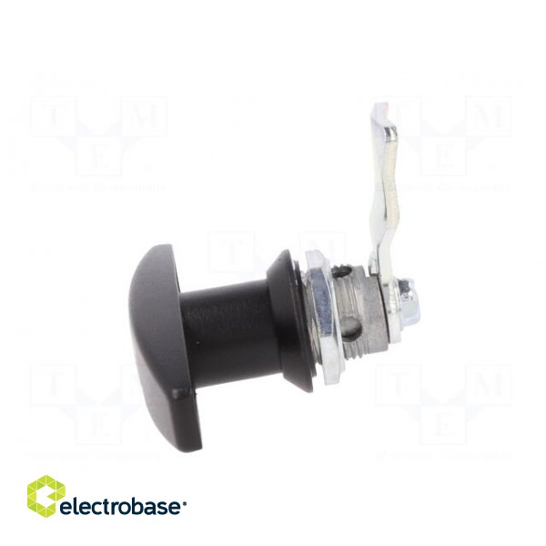 Lock | zinc and aluminium alloy | 21mm | black finish | Kit: 2 keys image 4