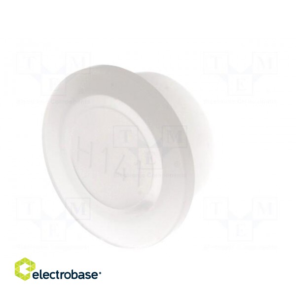 Plugs | Body: semi-transparent | Out.diam: 27mm | H: 12mm | Mat: LDPE image 2