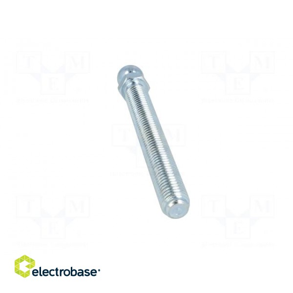 Pin | M12 | Plunger mat: steel | Ø: 14mm | Plating: zinc image 5