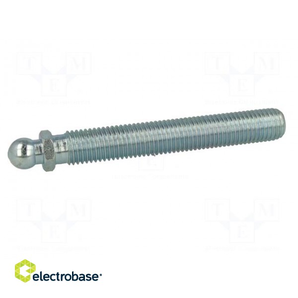 Pin | M16 | Plunger mat: steel | Ø: 14mm | Plating: zinc image 3