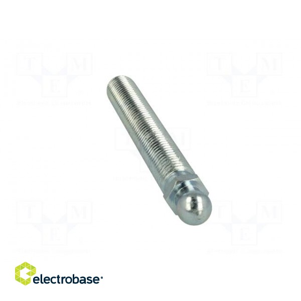 Pin | M16 | Plunger mat: steel | Ø: 14mm | Plating: zinc paveikslėlis 9