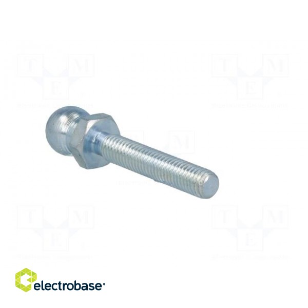 Pin | M8 | Plunger mat: steel | Ø: 14mm | Plating: zinc | Thread len: 43mm image 4