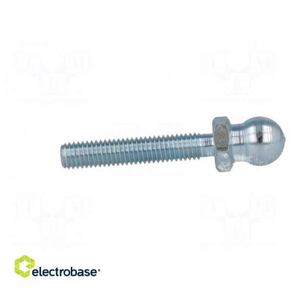 Pin | M8 | Plunger mat: steel | Ø: 14mm | Plating: zinc | Thread len: 43mm image 7