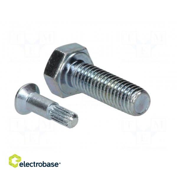 Pin | M8 | Plunger mat: steel | Plating: zinc | Thread len: 25mm image 4