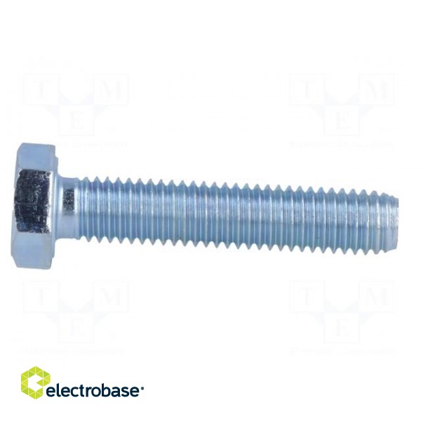 Pin | M8 | Plunger mat: steel | Plating: zinc | Thread len: 40mm image 3