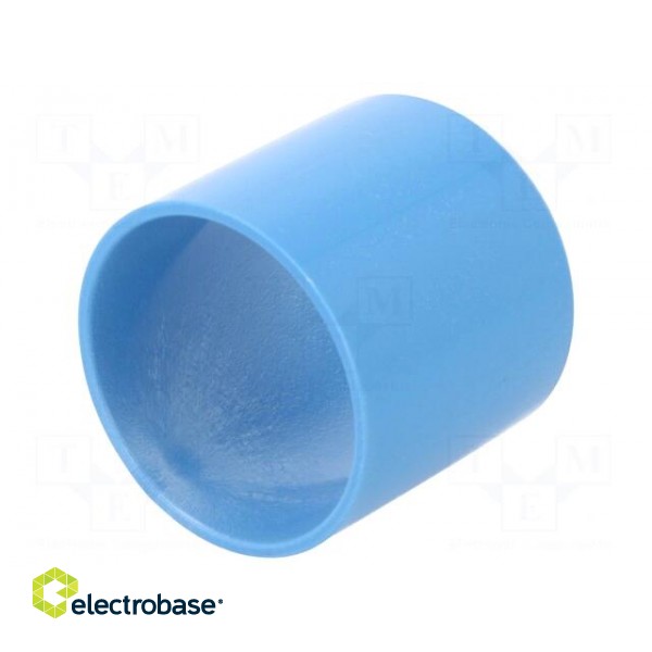 Bearing: sleeve bearing | Øout: 55mm | Øint: 50mm | L: 50mm | blue