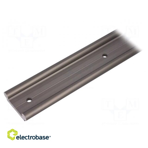 Double rail | aluminium | Ø: 10mm | L: 500mm | W: 40mm | DryLin® W image 1