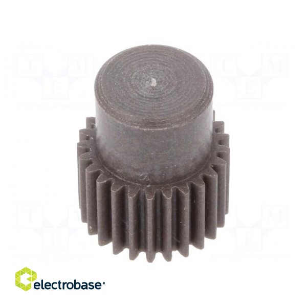Spur gear | whell width: 16mm | Ø: 13.5mm | Number of teeth: 25 | ZCL image 1