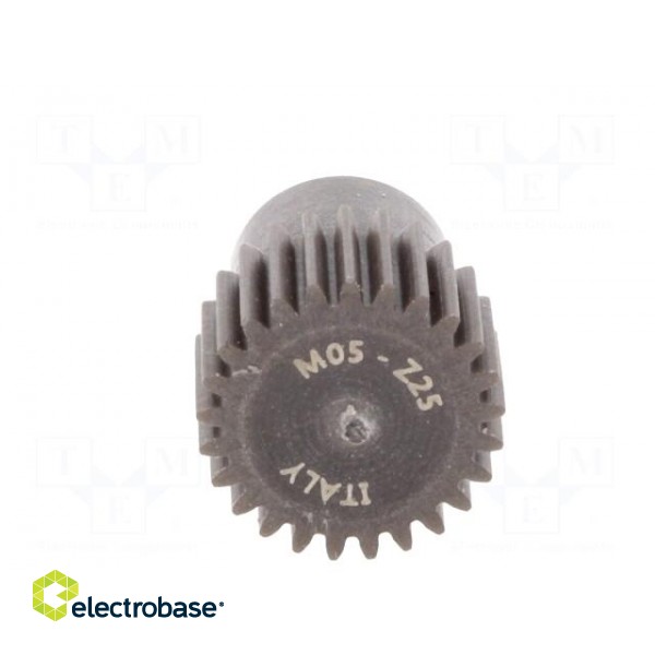 Spur gear | whell width: 16mm | Ø: 13.5mm | Number of teeth: 25 | ZCL image 5