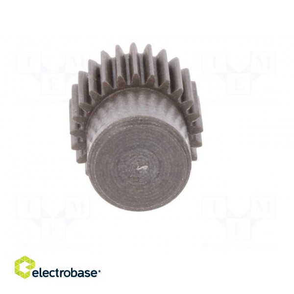 Spur gear | whell width: 16mm | Ø: 13.5mm | Number of teeth: 25 | ZCL image 9