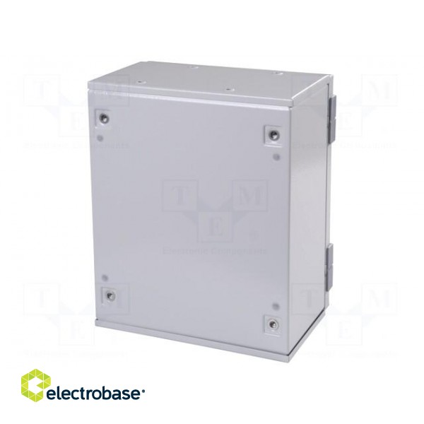Enclosure: wall mounting | X: 250mm | Y: 300mm | Z: 160mm | orion+ | steel image 2