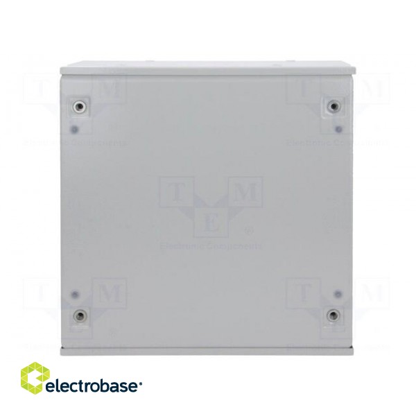 Enclosure: wall mounting | X: 300mm | Y: 300mm | Z: 160mm | orion+ | steel image 3