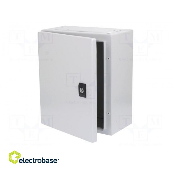 Enclosure: wall mounting | X: 250mm | Y: 300mm | Z: 150mm | Spacial CRN image 3