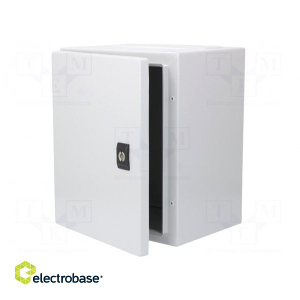 Enclosure: wall mounting | X: 250mm | Y: 300mm | Z: 200mm | Spacial CRN image 3