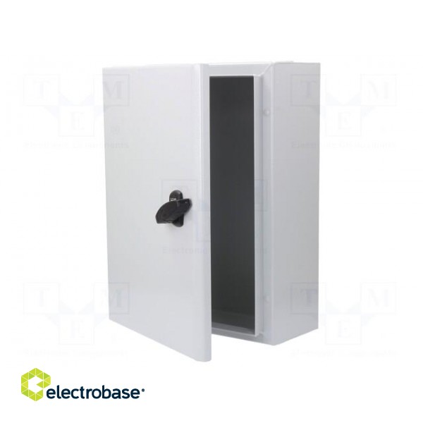 Enclosure: wall mounting | X: 300mm | Y: 400mm | Z: 150mm | Spacial S3D фото 1
