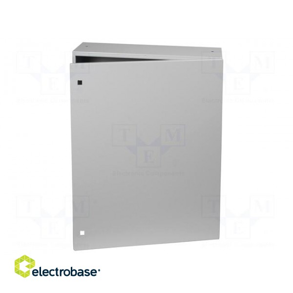 Enclosure: wall mounting; X: 800mm; Y: 1000mm; Z: 300mm; AX; IP66 image 1