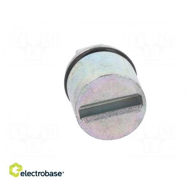 Insert for lock | cast zinc | 27mm | AE,BG,for enclosures,EB фото 9