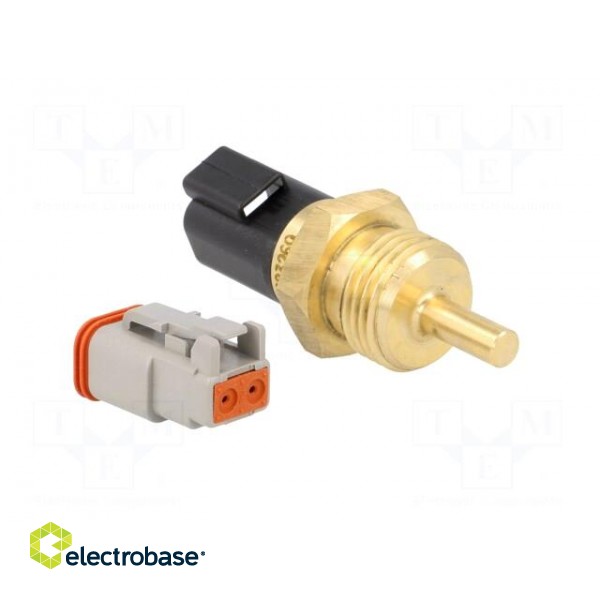 Sensor: temperature | Pt1000 | cl.B | Electr.connect: DT04-2P | 30mm image 3