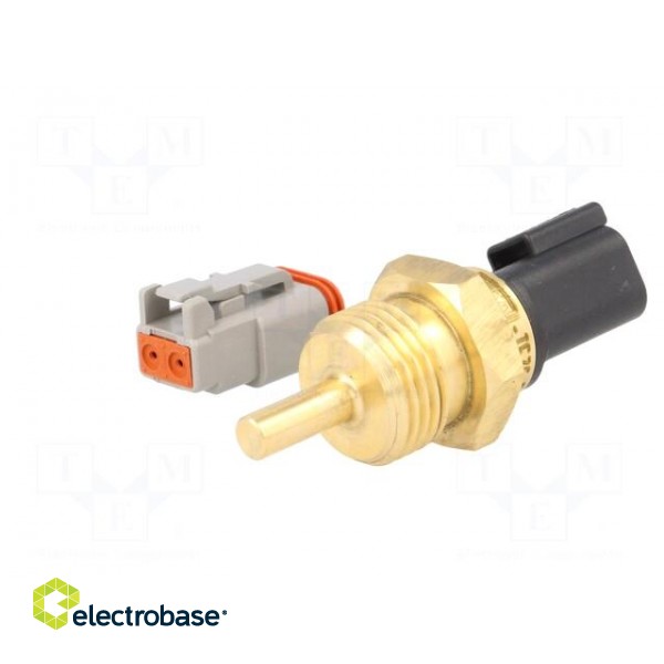 Sensor: temperature | Pt1000 | cl.B | Electr.connect: DT04-2P | 30mm image 5