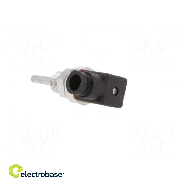 Sensor: temperature | Pt100 | cl.B | G1/2 A | Electr.connect: PG11 image 4