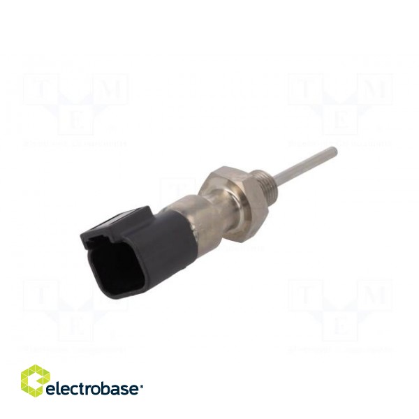 Sensor: temperature | Pt100 | cl.B | Electr.connect: DT04-2P | 40mm paveikslėlis 6