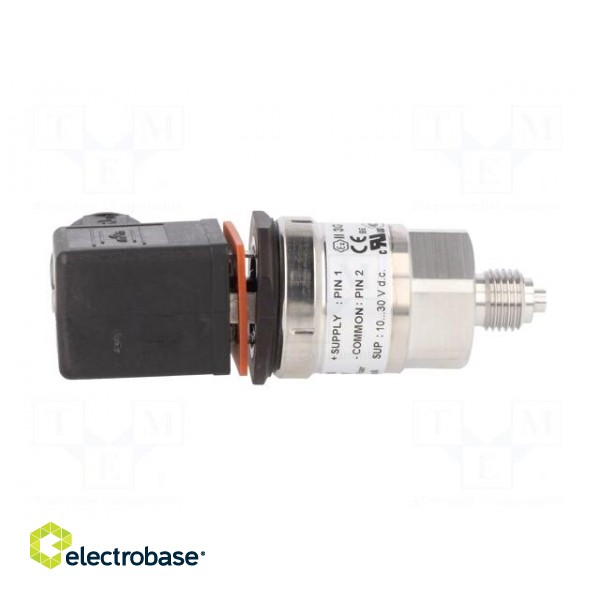 Converter: pressure | Range of val.cntrl: 100 bar | 9÷32VDC | 0.5% image 7