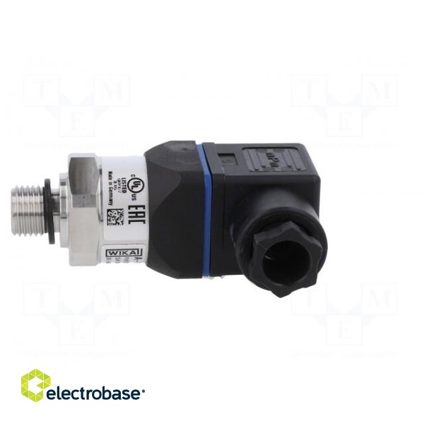 Converter: pressure | Pressure setting range: 0÷100bar | 8÷30VDC image 3